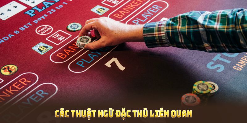 Các thuật ngữ đặc thù liên quan đến cách chơi baccarat